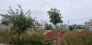  Plot For Sale in Arkavathy Layout