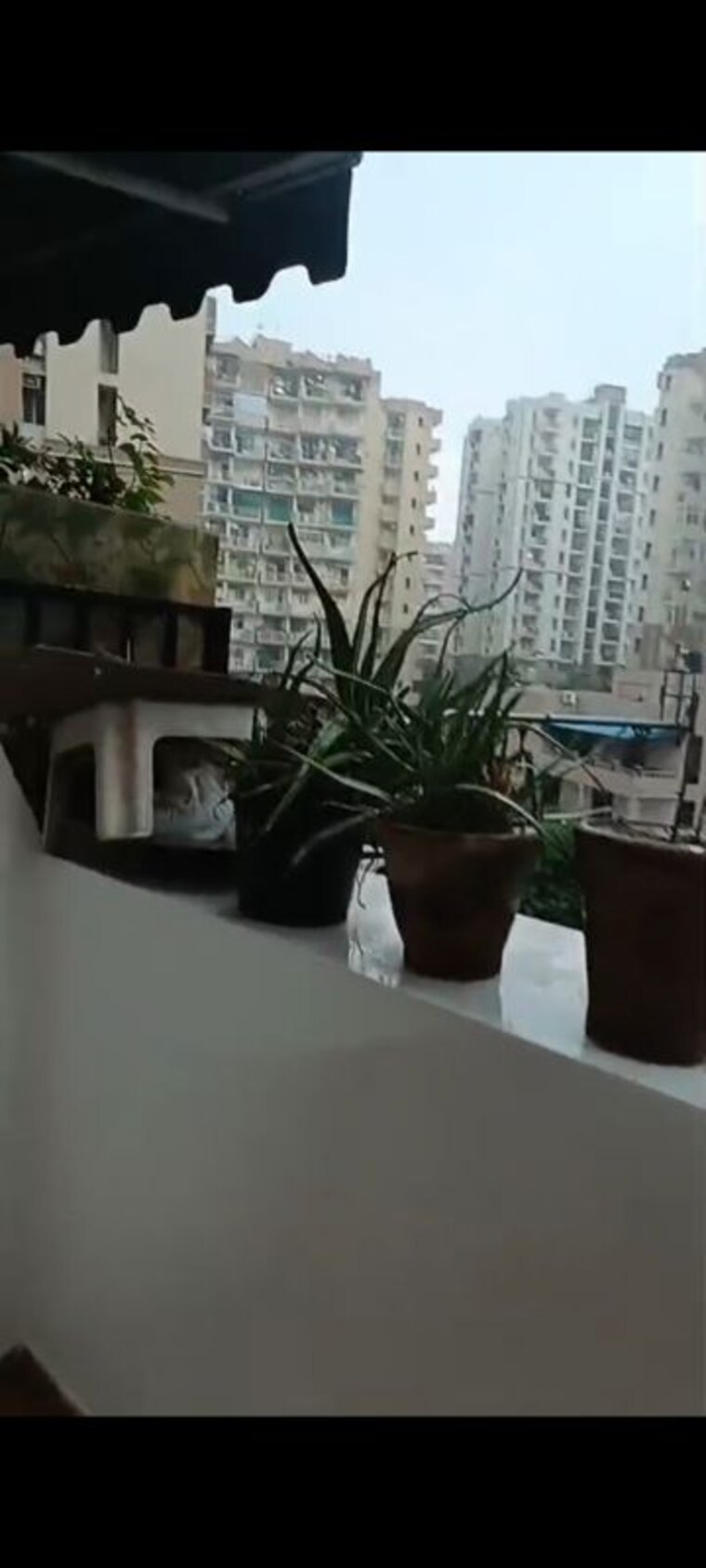 Team Area, ashiana-palm-court 2.5 Bedroom 1275 Sq.Ft. Apartment In Raj Nagar Extension Ghaziabad 10564087