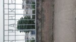 500 Sq.Yd. Plot in Shaheed Bhagat Singh Nagar