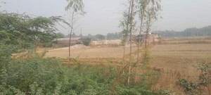  Plot For Sale in Raipur
