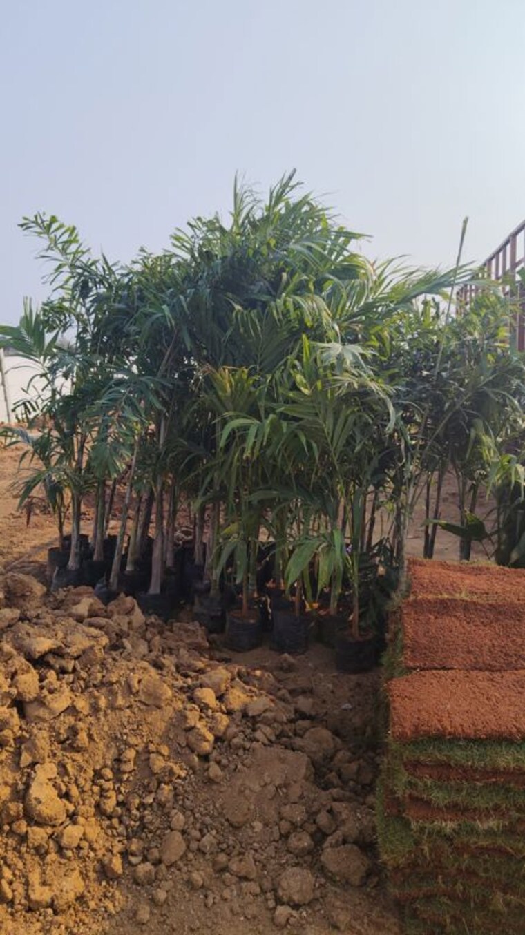 undefined, konda bheemanapally  121 Sq.Yd. Plot In Konda Bheemanapally Devarakonda 10536423