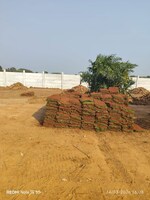 121 Sq.Yd. Plot in Konda Bheemanapally