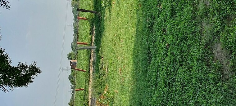 undefined, pachgain khera  90 Sq.Yd. Plot In Pachgain Khera Agra 10564538