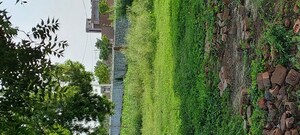 Plot Area in  Plot at Pachgain Khera – for Sale