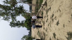 Plot Area in  Plot at Sultanpur – for Sale
