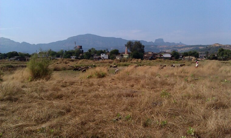 undefined, karjat  34001 Sq.Ft. Plot In Karjat Navi Mumbai 10564848