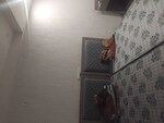 200 Sq.Ft. Pg in Bidholi