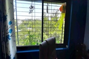 1 BHK Apartment – Exterior View View at Naiknavare Gardenia, Wadgaon Sheri - for Rent