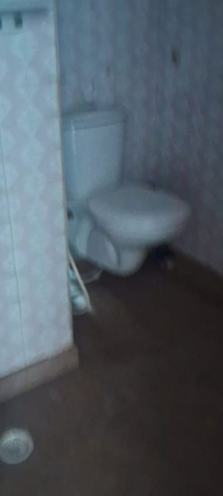 Bathroom, sector 19 2 Bedroom 1250 Sq.Ft. Builder Floor In Sector 19 Noida 10565071
