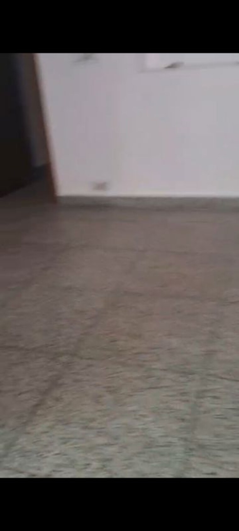 Room, sector 19 2 Bedroom 1250 Sq.Ft. Builder Floor In Sector 19 Noida 10565071