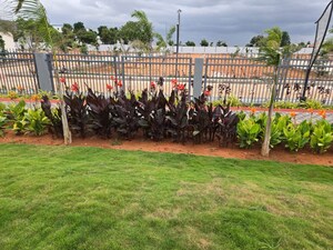  Plot – Exterior View View at Doddaballapura - for Sale