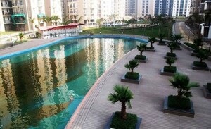 Swimming Pool in 2.5 BHK Apartment at Amrapali Zodiac, Sector 120 – for Sale