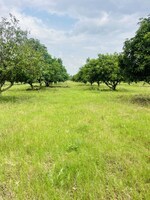 200 Sq.Yd. Plot in Surampalli