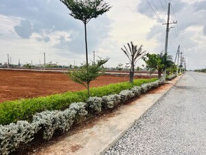 Plot Area in  Plot at Surampalli – for Sale