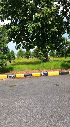 Plot For Sale in Vijayawada Highway