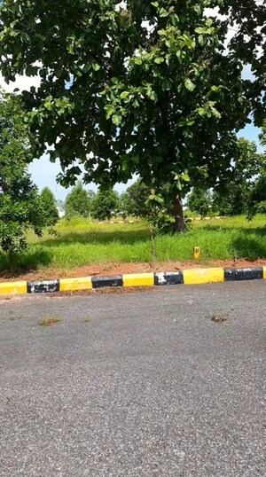  Plot For Sale in Vijayawada Highway