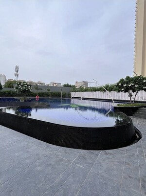 Swimming Pool in 3 BHK Apartment at Tulip Yellow, Sector 69 – for Sale