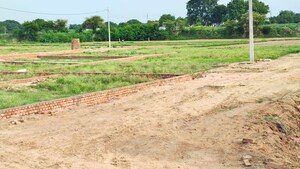 Plot Area in  Plot at Harhua – for Sale