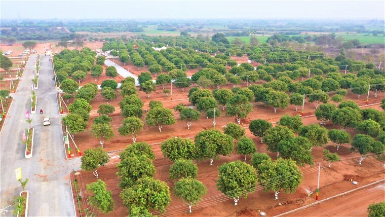 Garden, yadagirigutta  133 Sq.Yd. Plot In Yadagirigutta Hyderabad 10560980