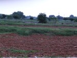 110 Sq.Yd. Plot in NH 8