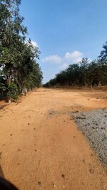 300 Sq.Yd. Plot in Yadagirigutta