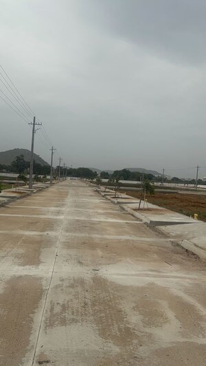  Plot For Sale in Nepalle