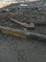 352 Sq.Yd. Plot in Padmavathi Mansion Bowenpally