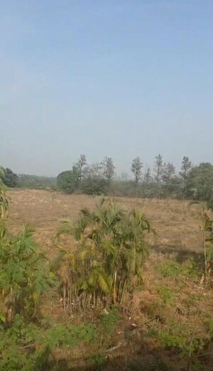 Plot For Sale in Lonavala