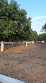 150 Sq.Yd. Plot in Yadagirigutta