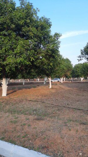  Plot For Sale in Yadagirigutta