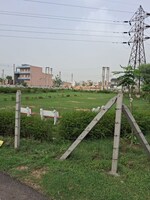 163 Sq.Yd. Plot in Sector 56A