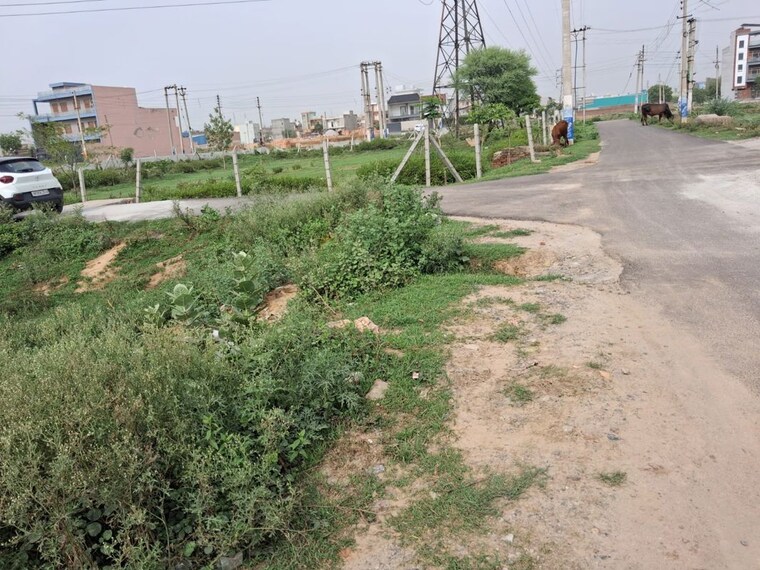 undefined, sector 56a  163 Sq.Yd. Plot In Sector 56a Faridabad 10566009