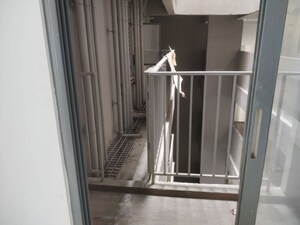 Balcony in 3 BHK Apartment at Mantra Mirari, Koregaon Park – for Sale