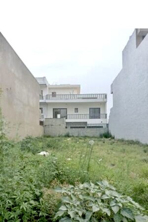  Plot For Sale in Sector 89