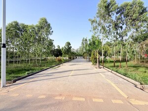  Plot – Exterior View View at Biharigarh - for Sale
