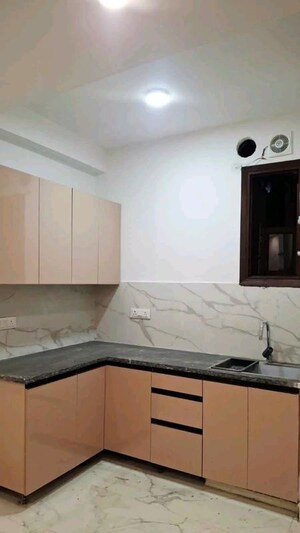 1 BHK Apartment For Rent in Chattarpur