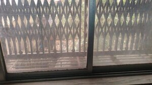 Swimming Pool in  Apartment at Bhiwandi – for Sale