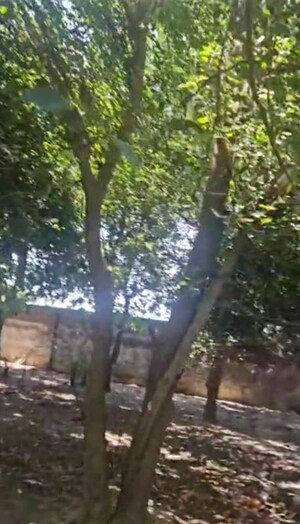  Industrial Plot – Garden View at Gharaunda - for Sale