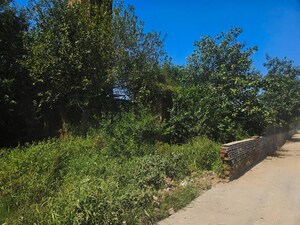  Industrial Plot For Sale in Gharaunda