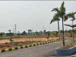 165 Sq.Yd. Plot in Glentree Pharma County