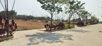 165 Sq.Yd. Plot in Ace Arcadia