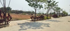 Plot For Sale in Ace Arcadia