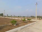 165 Sq.Yd. Plot in Pharma Green City
