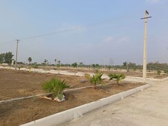 Plot For Sale in Pharma Green City