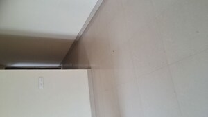 2 BHK Apartment For Rent in Malviya Nagar