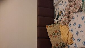 2 BHK Apartment For Rent in Gandhi Nagar