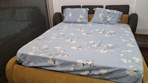 2 BHK Apartment For Rent in Gandhi Nagar