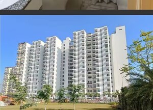 3 BHK Apartment For Rent in Ansal Celebrity Meadows, Sushant Golf City