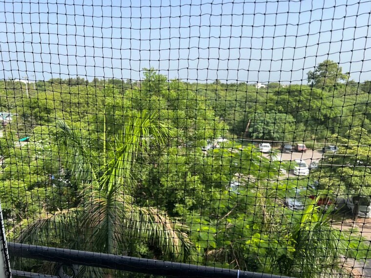 Garden, sector 50 3 Bedroom 1000 Sq.Ft. Builder Floor In Sector 50 Chandigarh 10567737