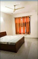 3 BHK 800 Sq.Ft. Builder Floor in Sector 44